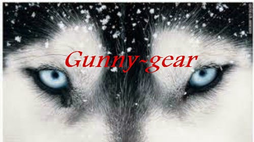 Gunny-gear | 15151 W Peak View Rd, Surprise, AZ 85387, USA | Phone: (623) 738-9456