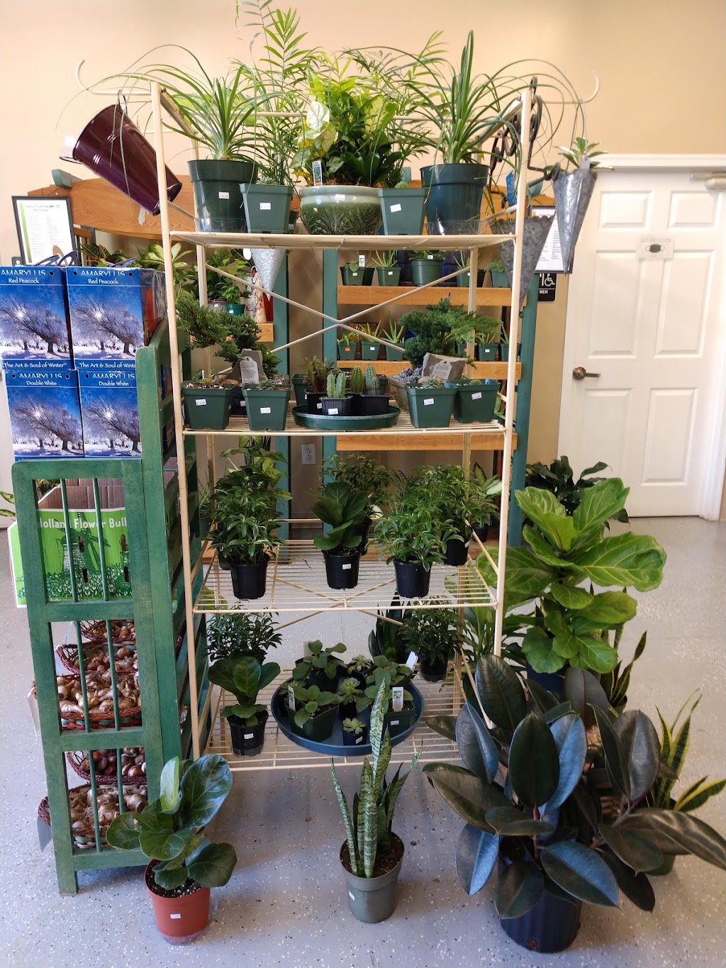 Eggleston Garden Center & Farmers Market | 110 La Valette Ave suite d, Norfolk, VA 23504, USA | Phone: (757) 625-2044