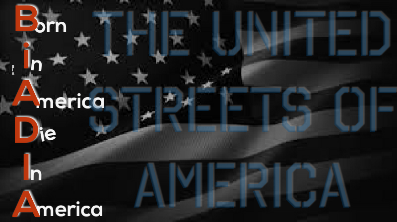 BIADIA Foundation | 1540 E Soledad Pass Rd, Palmdale, CA 93550, USA | Phone: (818) 564-0626