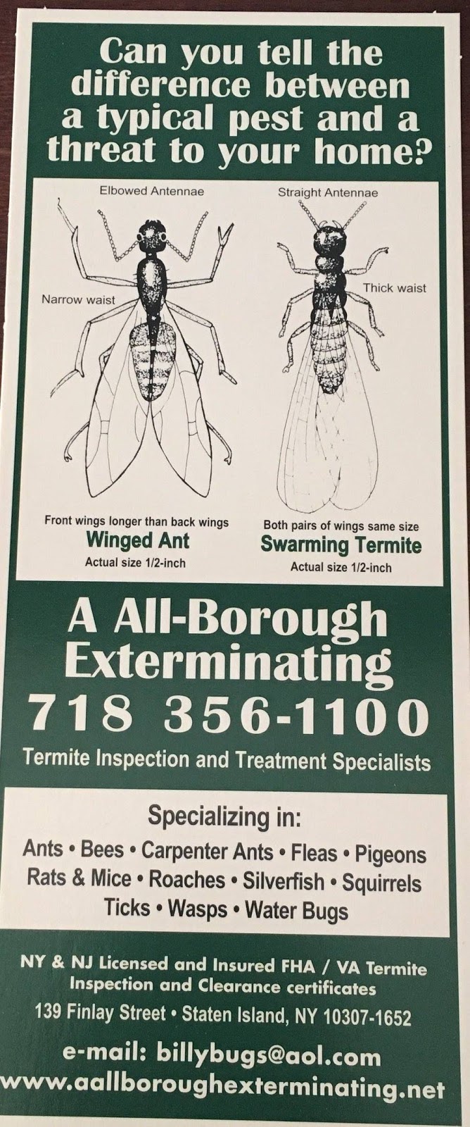 A All Borough Exterminating Co. Inc | 139 Finlay St, Staten Island, NY 10307 | Phone: (718) 356-1100