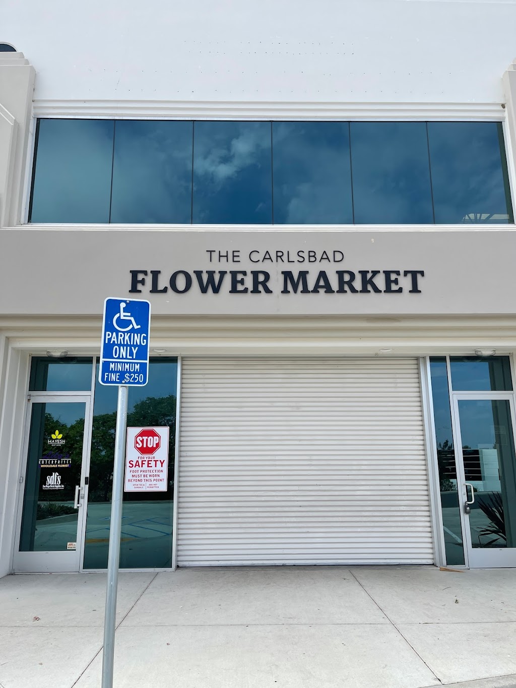 San Diego Wholesale Florist | 1969 Kellogg Ave, Carlsbad, CA 92008, USA | Phone: (858) 505-0055