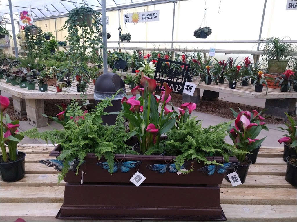 Whites Nursery & Garden Center | 3133 Old Mill Rd, Chesapeake, VA 23323 | Phone: (757) 487-2300