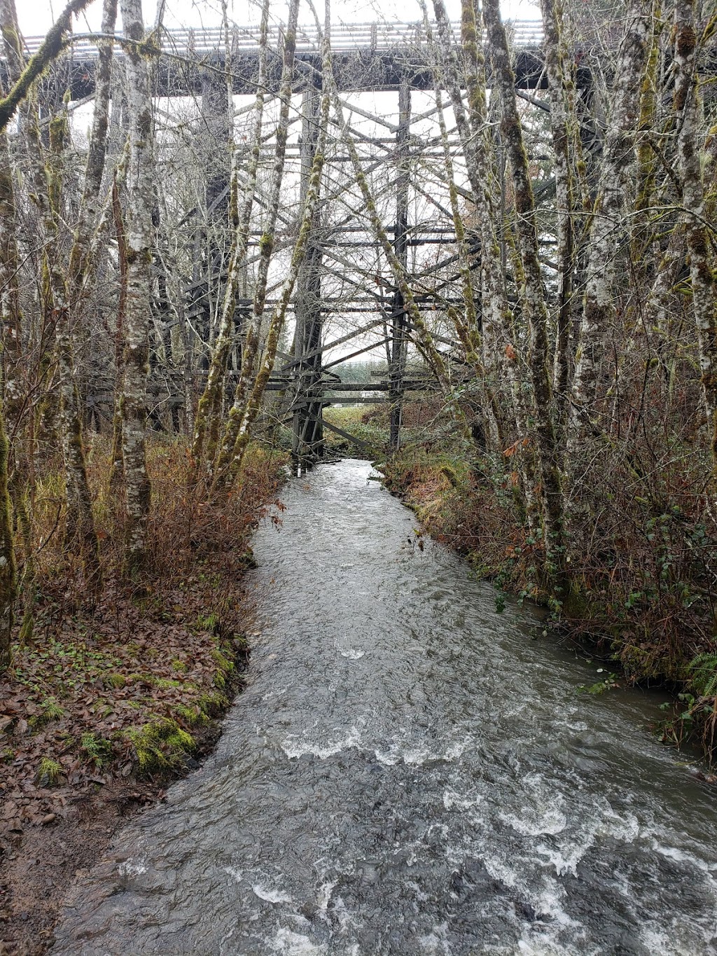 Buxton Trestle | Banks-Vernonia State Trail, Buxton, OR 97109, USA | Phone: (800) 551-6949