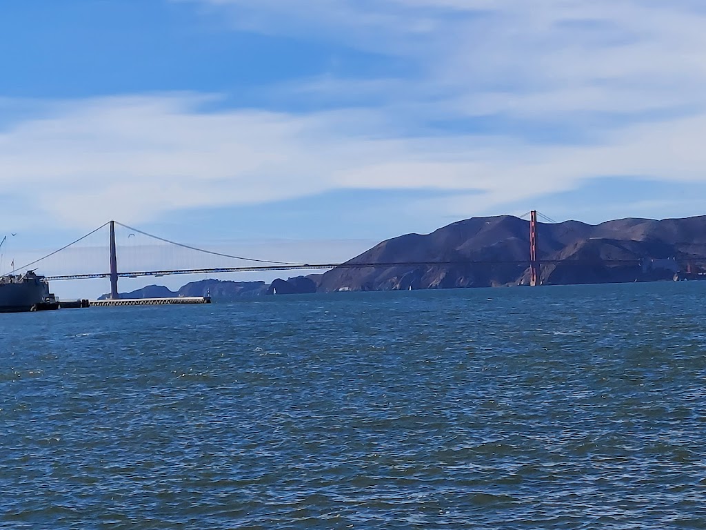 SF Bay Whale Watching | Pier 39, Beach St, San Francisco, CA 94133, USA | Phone: (415) 331-6267