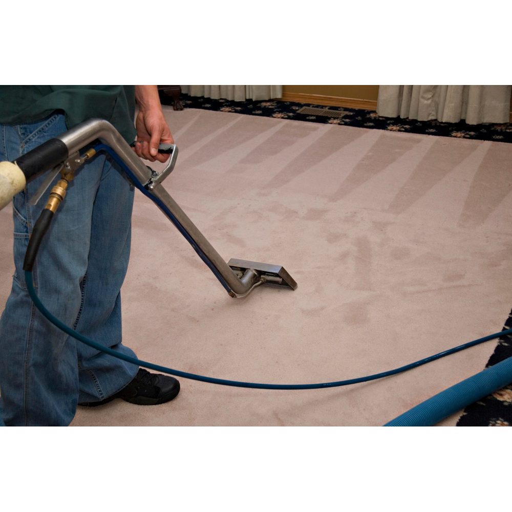 Bronco Cleaning Inc | 25 E Fairview Ave #215, Meridian, ID 83642, USA | Phone: (208) 939-4102