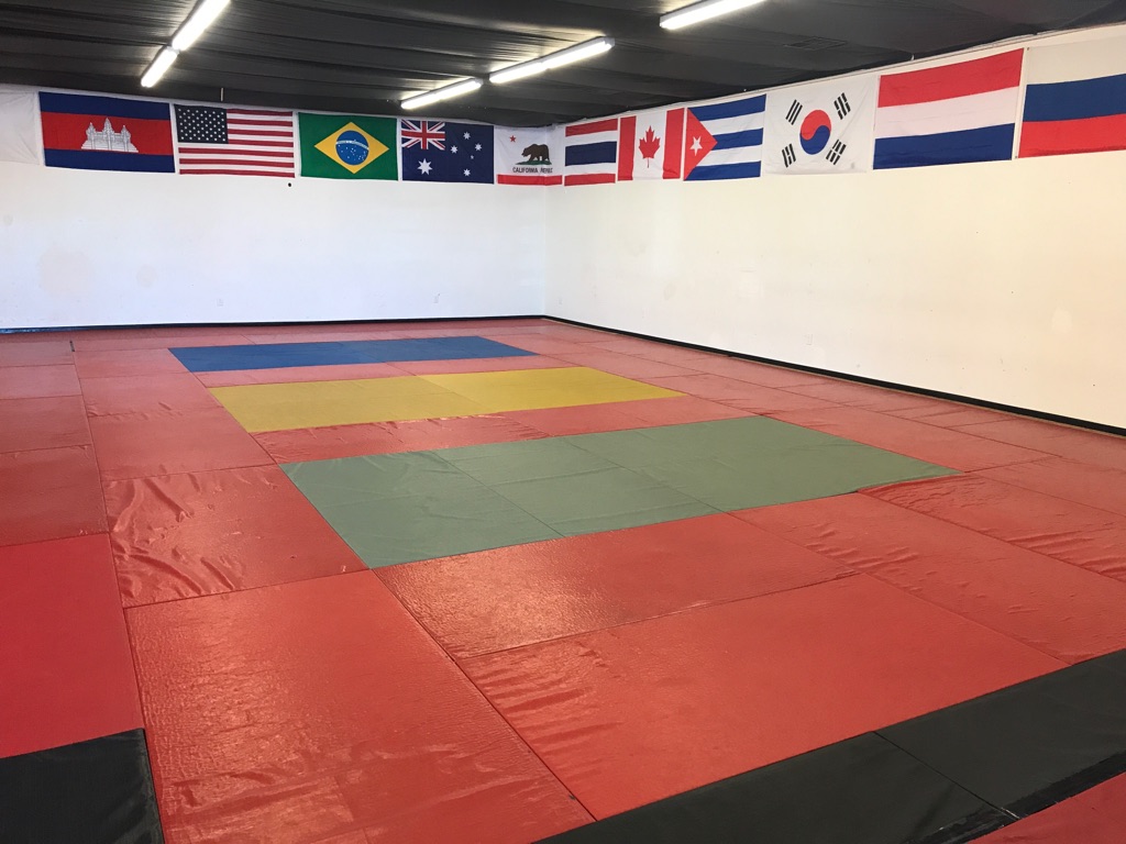 Bay Area Jiu-Jitsu Academy | 210 El Camino Real B, Belmont, CA 94002, USA | Phone: (650) 520-8113