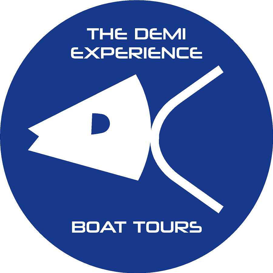 The Demi Experience | 1329 Pasadena Bloom Ln, Ruskin, FL 33570, USA | Phone: (242) 427-6024