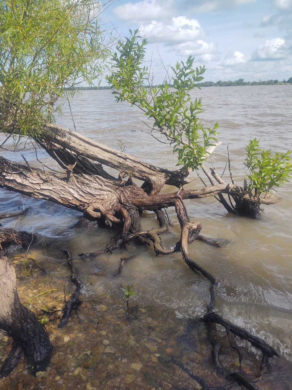 El Dorado Lake - Bluestem Point Area - Big Pine | Unnamed Road,, El Dorado, KS 67042, USA | Phone: (316) 321-7180