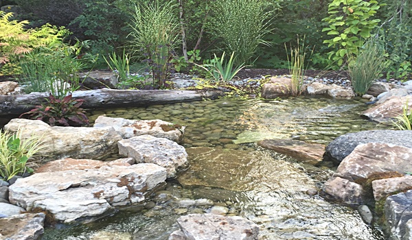 Deckers Pondscapes | 1632 Main St, Pattersonville, NY 12137, USA | Phone: (518) 887-5552