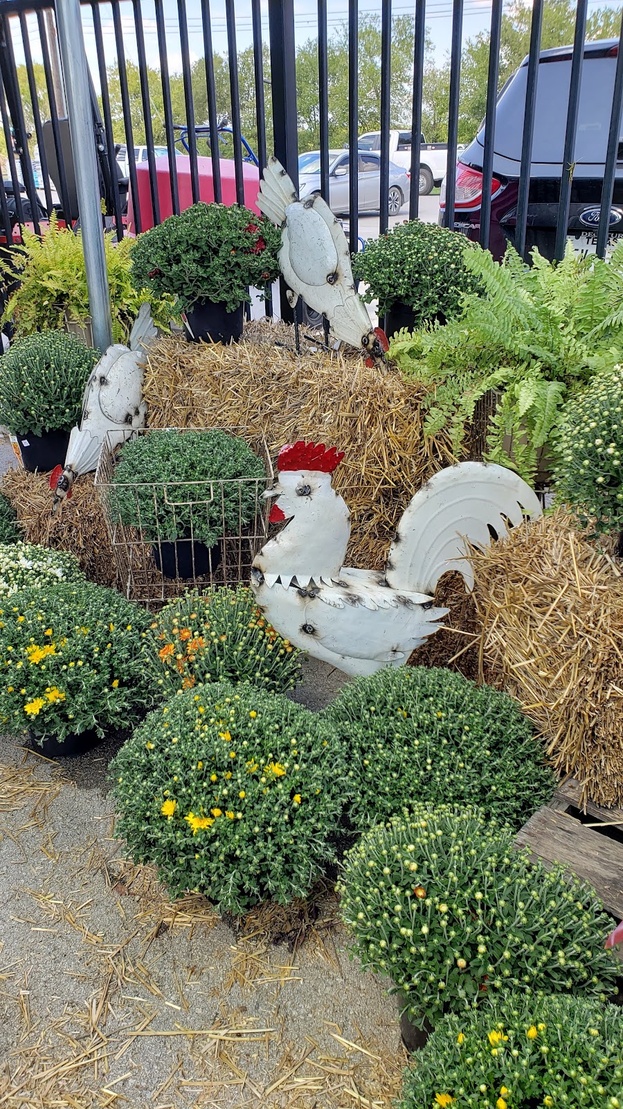 The Garden at Justin Ace Hardware | 1429 W 1st St, Justin, TX 76247, USA | Phone: (940) 648-0099