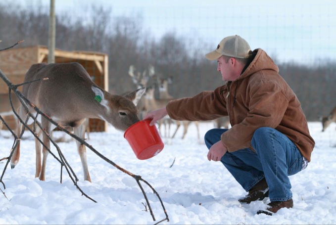 Autumn Wind Whitetails | 3031 E Hartman Rd, Columbia City, IN 46725, USA | Phone: (260) 403-0941