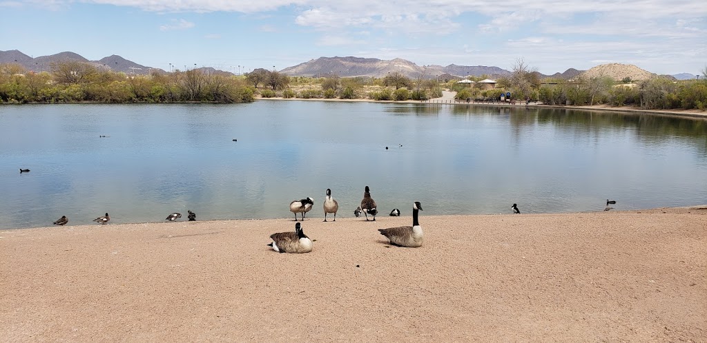 Red Mountain Lake | Mesa, AZ 85207, USA | Phone: (480) 644-7529