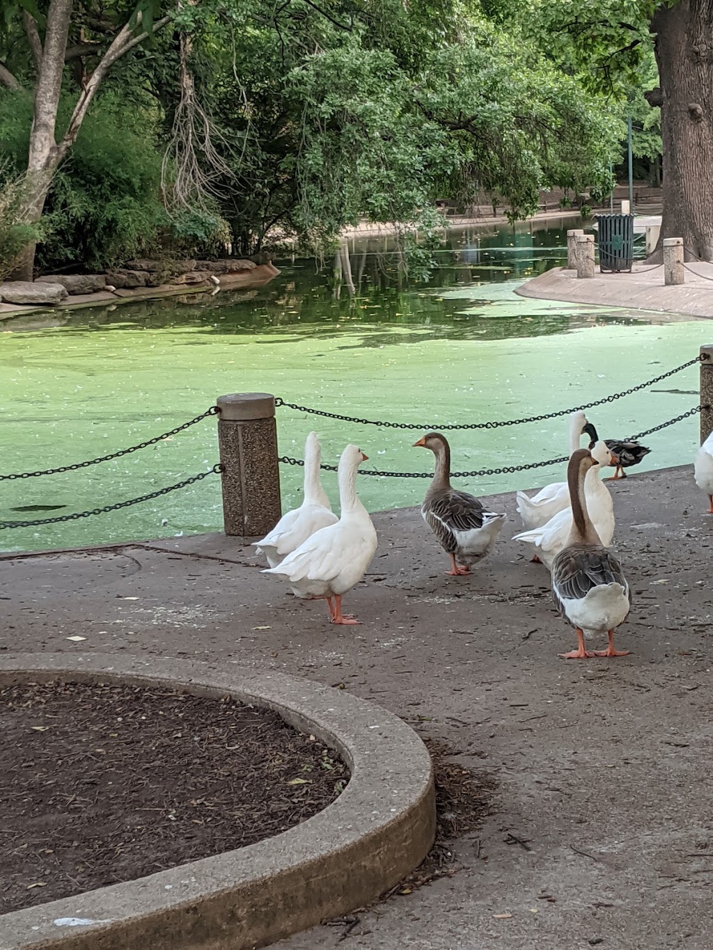 Trinity Park | 2401 University Dr, Fort Worth, TX 76107, USA | Phone: (817) 392-5700