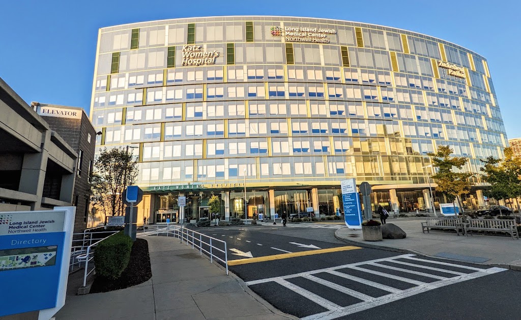 Long Island Jewish Medical Center Emergency Room | 270-05 76th Ave, Glen Oaks, NY 11004, USA | Phone: (718) 470-7500