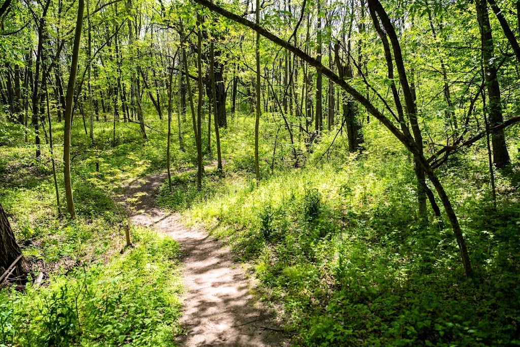 Gibraltar Rock State Natural Area | Gibraltar Rock Rd, Lodi, WI 53555, USA | Phone: (608) 266-0394