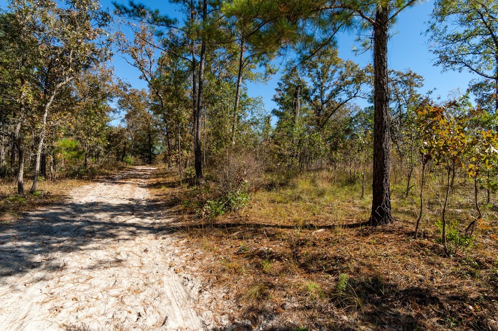 Black Creek Ravines Conservation Area | 5703 Green Rd, Middleburg, FL 32068, USA | Phone: (386) 329-4404