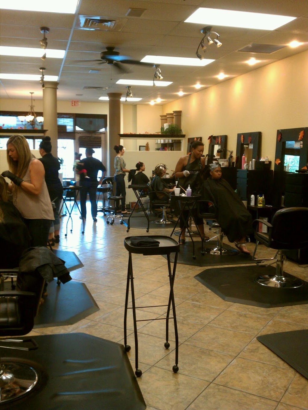 Vibe Salon Palm Harbor | 30669 US Hwy 19 N #107, Palm Harbor, FL 34684 | Phone: (727) 967-4835