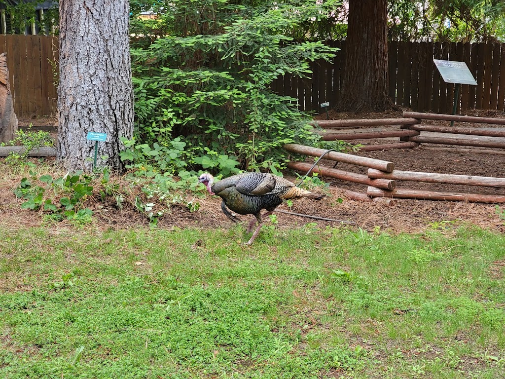 California Forest Center | 1600 Exposition Blvd, Sacramento, CA 95815, USA | Phone: (866) 241-8733