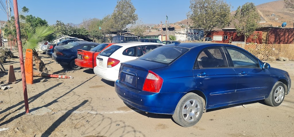 Yonke Cora | Rancho Tres Piedras, 22330 Rancho 3 Piedras, B.C., Mexico | Phone: 664 325 3358 Yonke Cora | Rancho Tres Piedras, 22330 Rancho 3 Piedras, B.C., Mexico | Phone: 664 325 3358