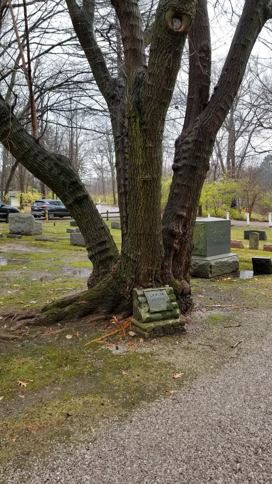 New Chestnut Grove Cemetery | 7789 Lewis Rd, Olmsted Falls, OH 44138, USA | Phone: (440) 235-1400