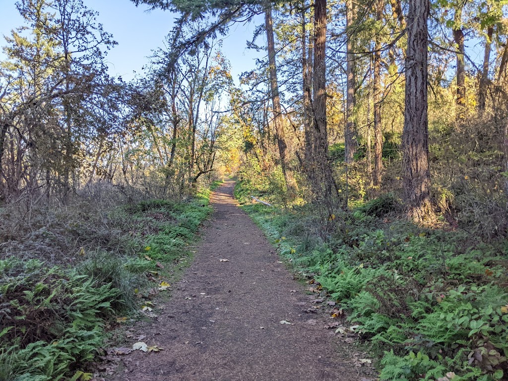 Canemah Bluff Nature Park | 917 4th Ave, Oregon City, OR 97045, USA | Phone: (503) 797-1545