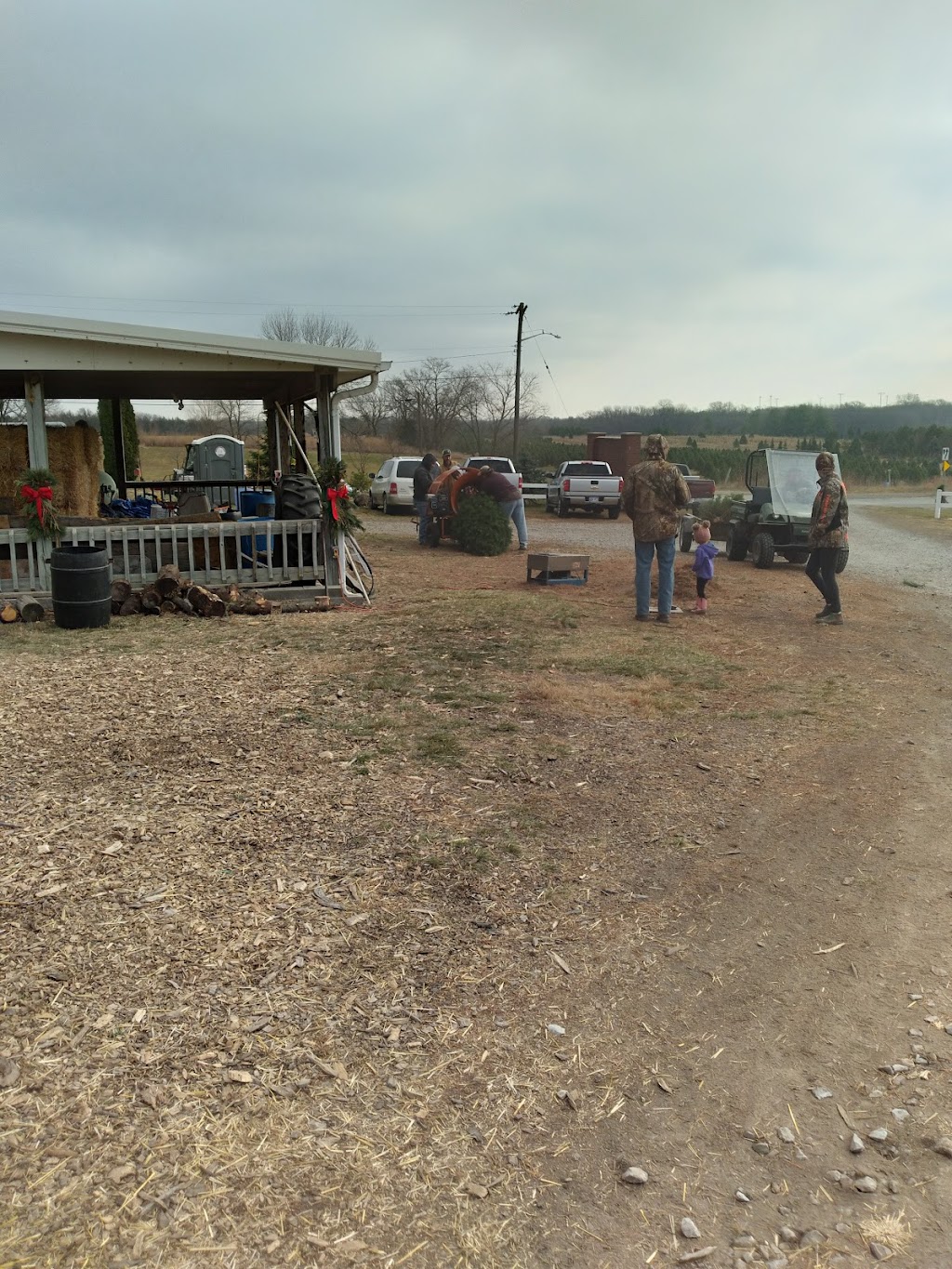 Pinecrest Tree Farm | 503 S Walnut St, Blue Springs, NE 68318, USA | Phone: (402) 645-3010
