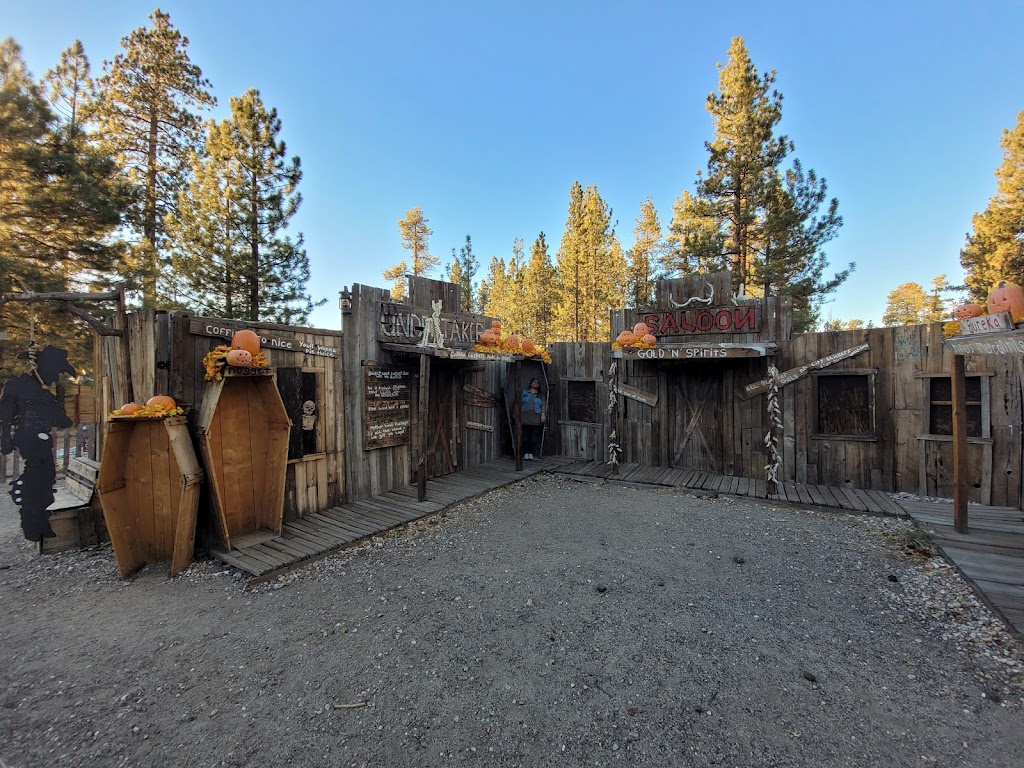 Gold Rush Mining Company Adventures | 40016 Big Bear Blvd, Big Bear Lake, CA 92315, USA | Phone: (909) 866-5678