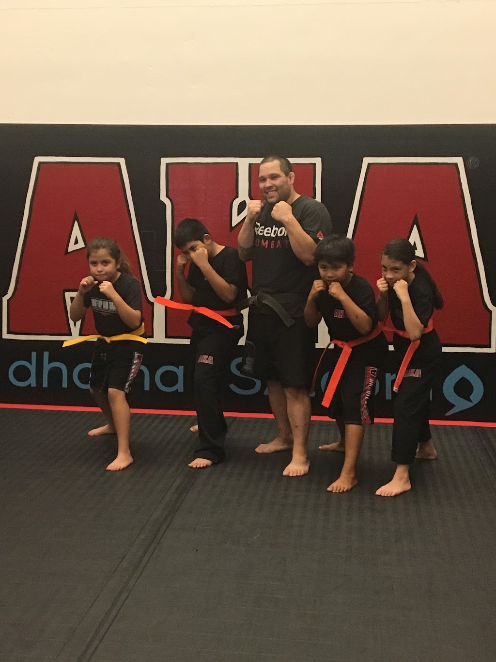 American Kickboxing Academy | 7012 Realm Dr, San Jose, CA 95119, USA | Phone: (408) 225-9000