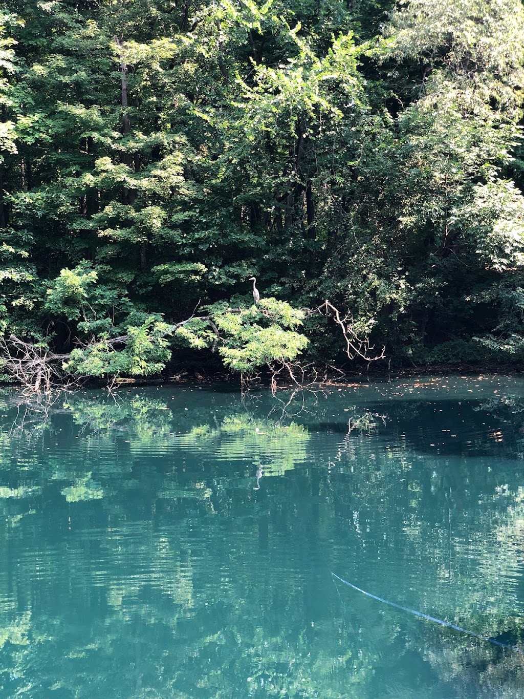 Whitesburg Park | 401 High St, Chagrin Falls, OH 44022, USA | Phone: (440) 247-3379