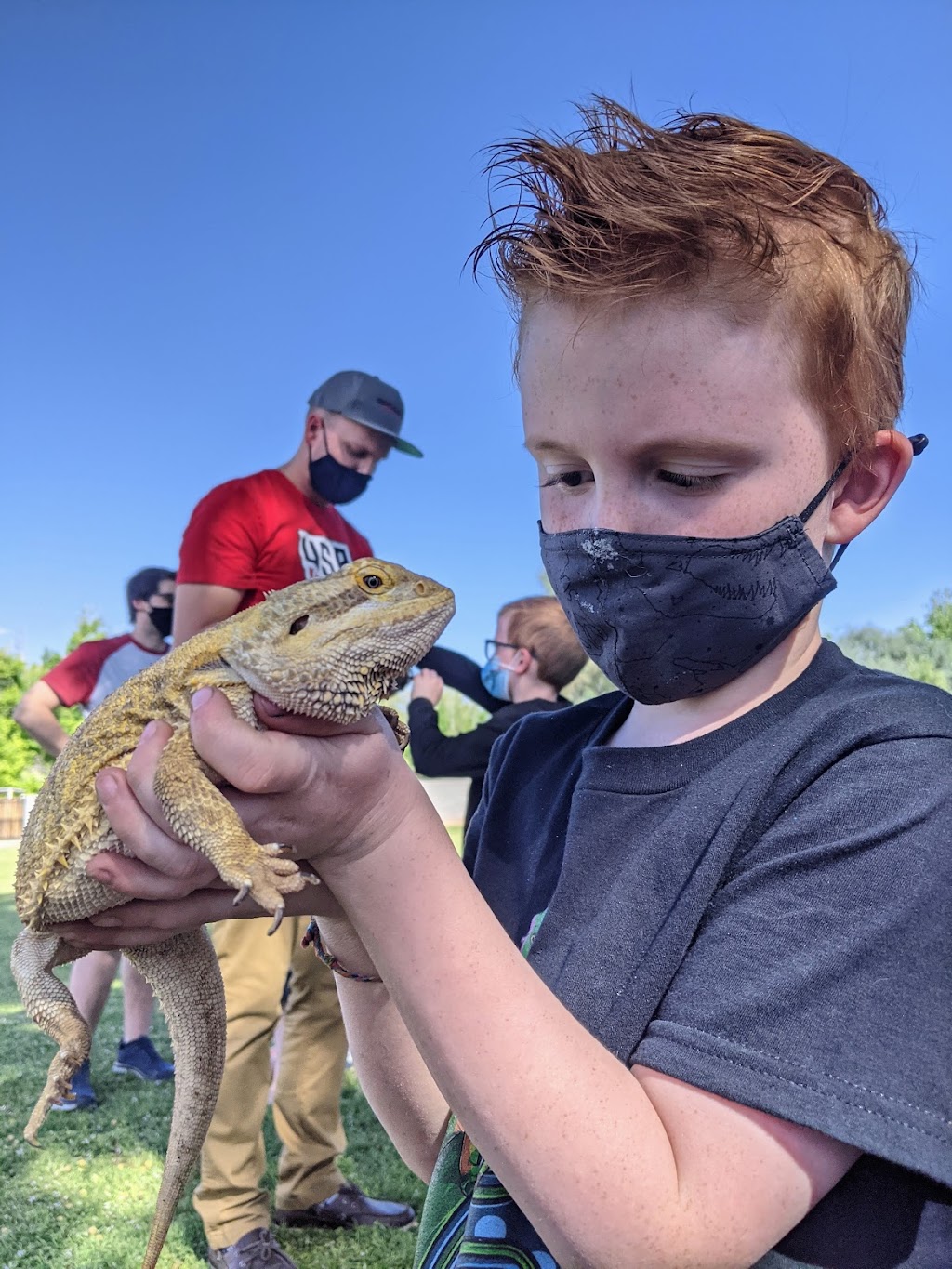 Creature Kingdom - Mobile Petting Zoo | 21577 E. Calle de Flores, Queen Creek, AZ 85142, USA | Phone: (480) 201-5536