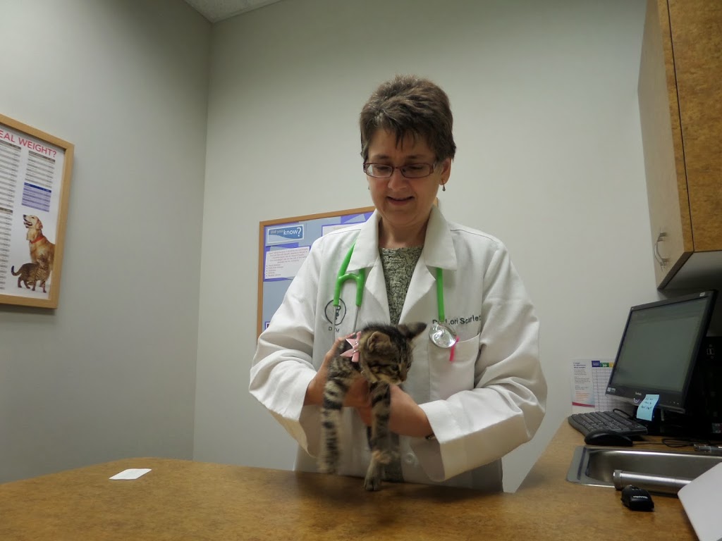 Four Lakes Veterinary Clinic | 4504 Monona Dr, Madison, WI 53716, USA | Phone: (608) 819-6750