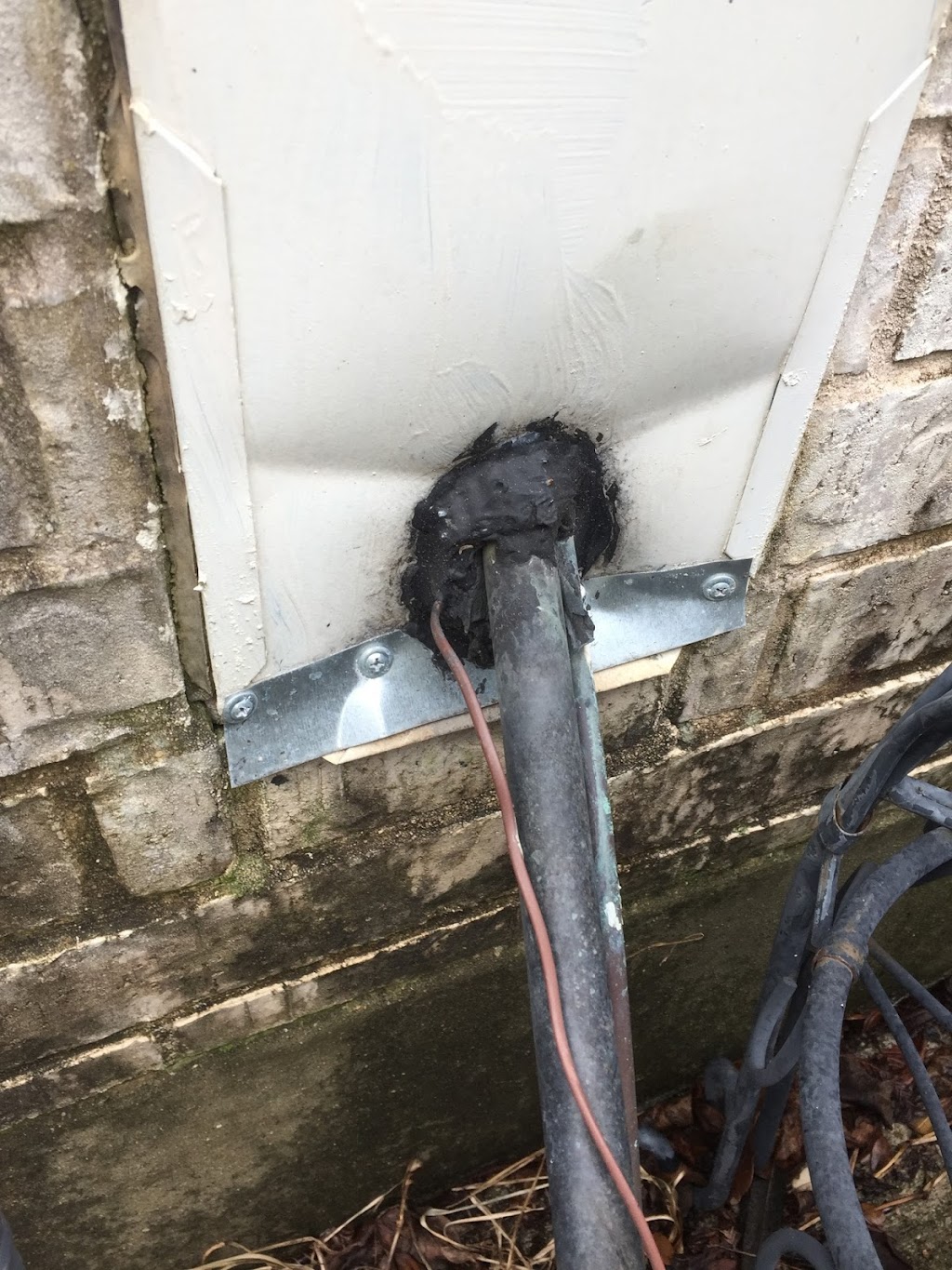 Critter Ridder LLC | 2821 Scotia Bluff Loop, Austin, TX 78748, USA | Phone: (512) 363-8070 Critter Ridder LLC | 2821 Scotia Bluff Loop, Austin, TX 78748, USA | Phone: (512) 363-8070