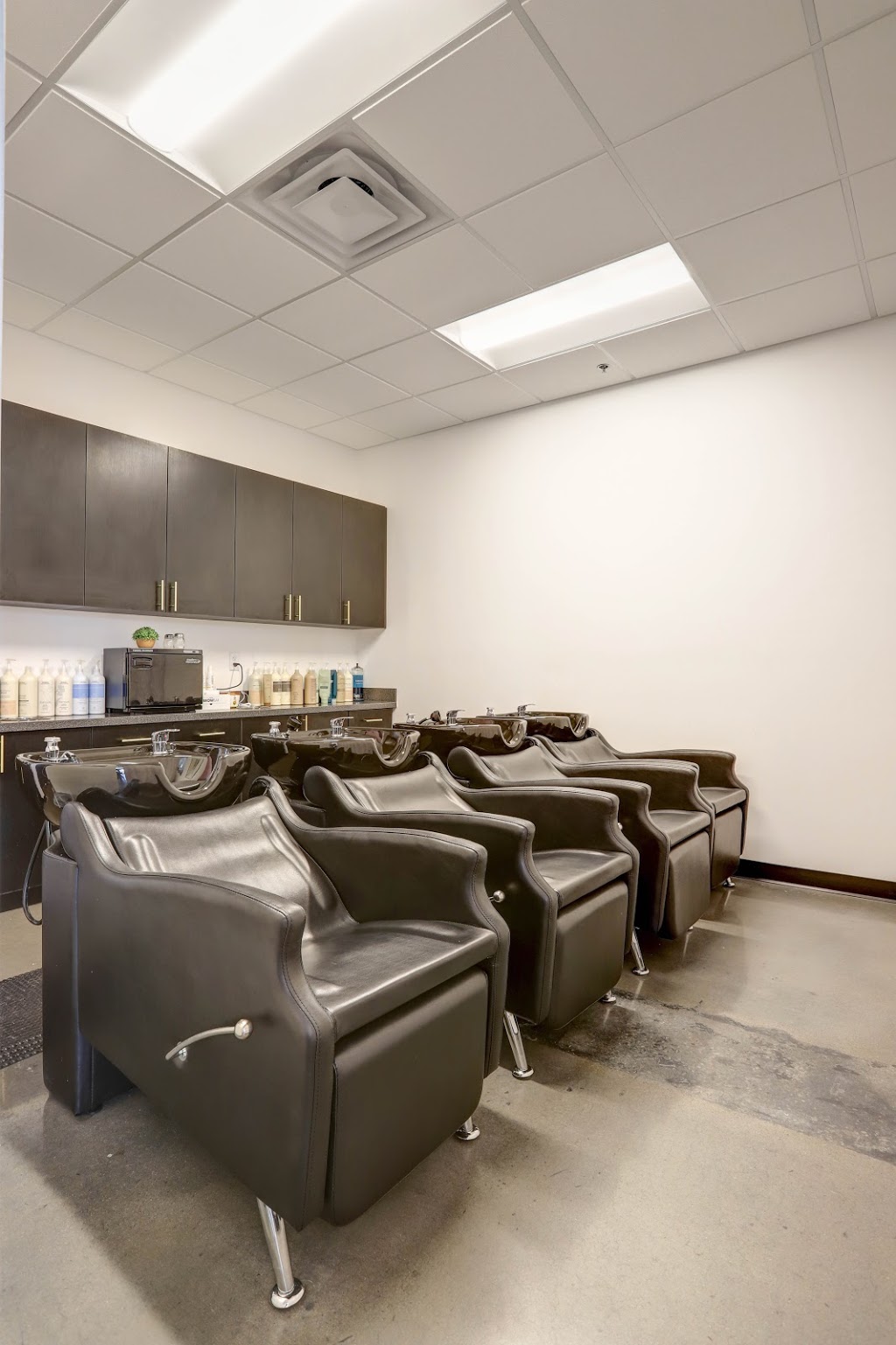 Eden - Aveda Lifestyle Salon and Spa | 2875 W Ray Rd ste 1, Chandler, AZ 85224, USA | Phone: (480) 534-7182