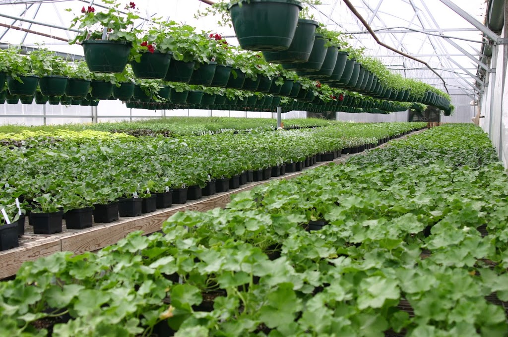 Beesons Nursery | 1300 Half Day Rd, Deerfield, IL 60015, USA | Phone: (847) 945-0520