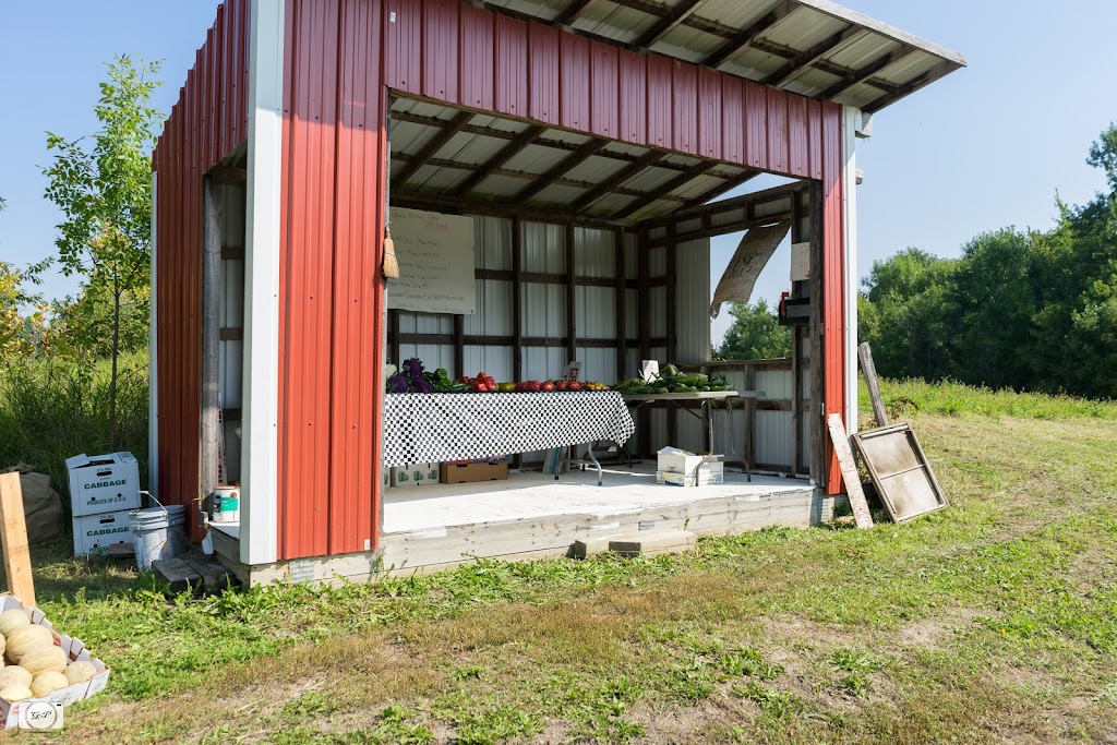 Gysland Brothers Farm | 486 220th St W, Jordan, MN 55352, USA | Phone: (952) 913-5553