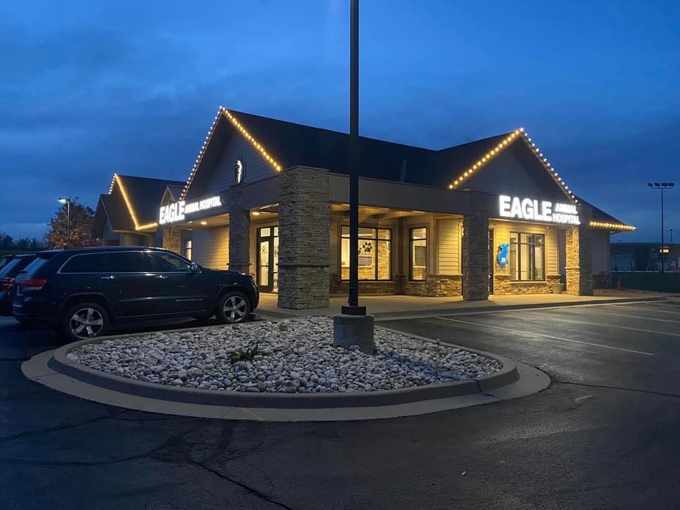 Eagle Animal Hospital in Tiffany Springs | 9300 N Congress Ave, Kansas City, MO 64153, USA | Phone: (816) 880-9500