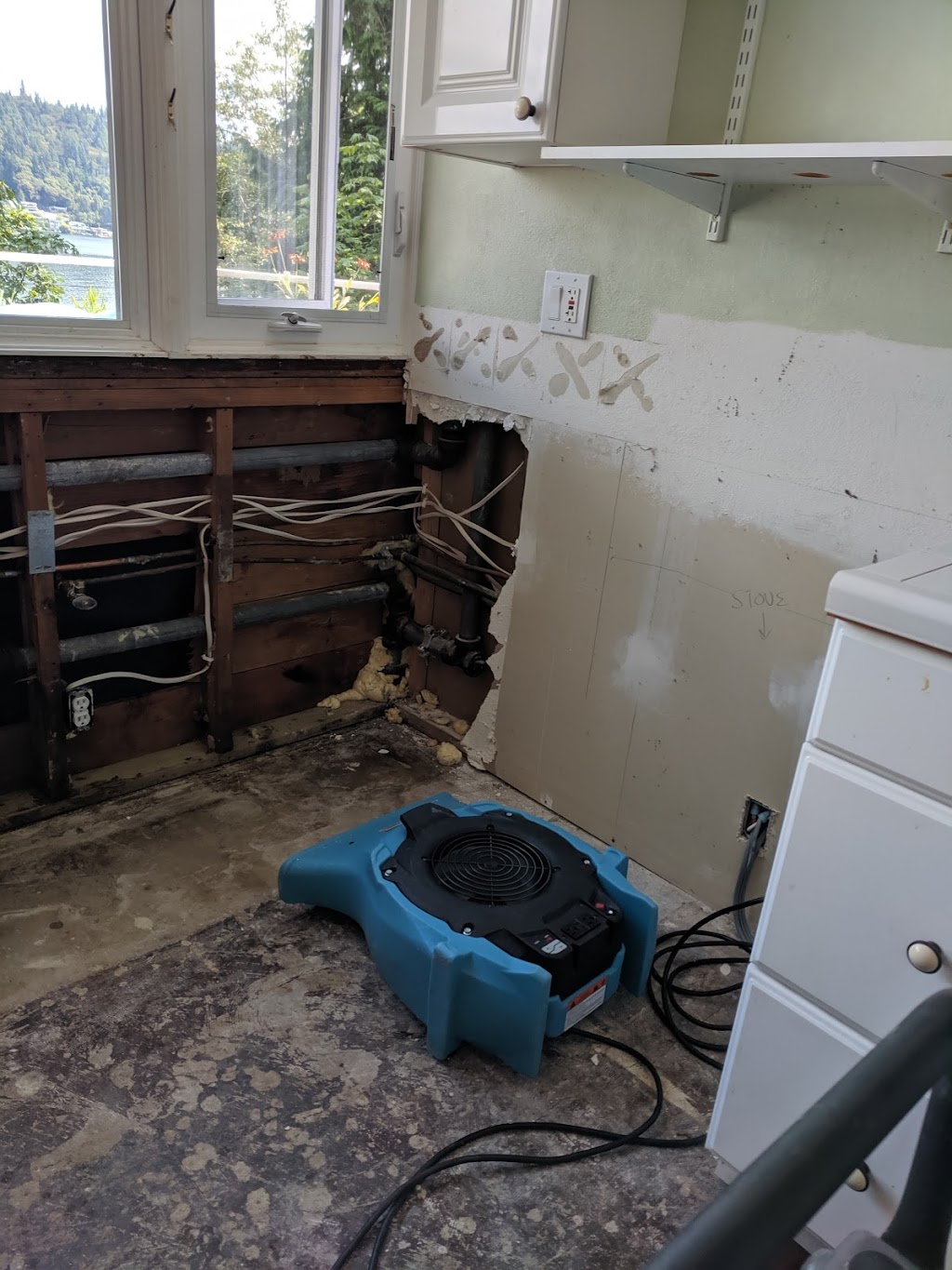 Alpine Cleaning and Restoration | 1620 75th St SW, Everett, WA 98203, USA | Phone: (425) 970-8205