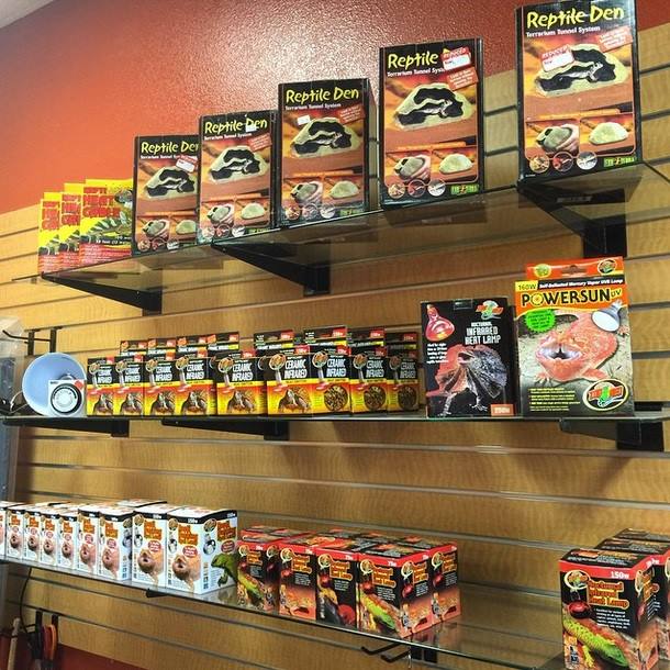 Strickly Reptiles | 10278 Indiana Ave Suite A, Riverside, CA 92503, USA | Phone: (951) 352-2700