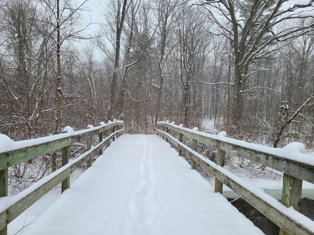 Stony Creek Metropark Nature Center | 4300 Main Park Road, Shelby Township, MI 48316, USA | Phone: (586) 781-4242