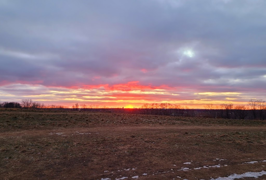 Sycamore Park Dog Park | 4517 Sycamore Ave, Madison, WI 53704, USA | Phone: (608) 266-4711