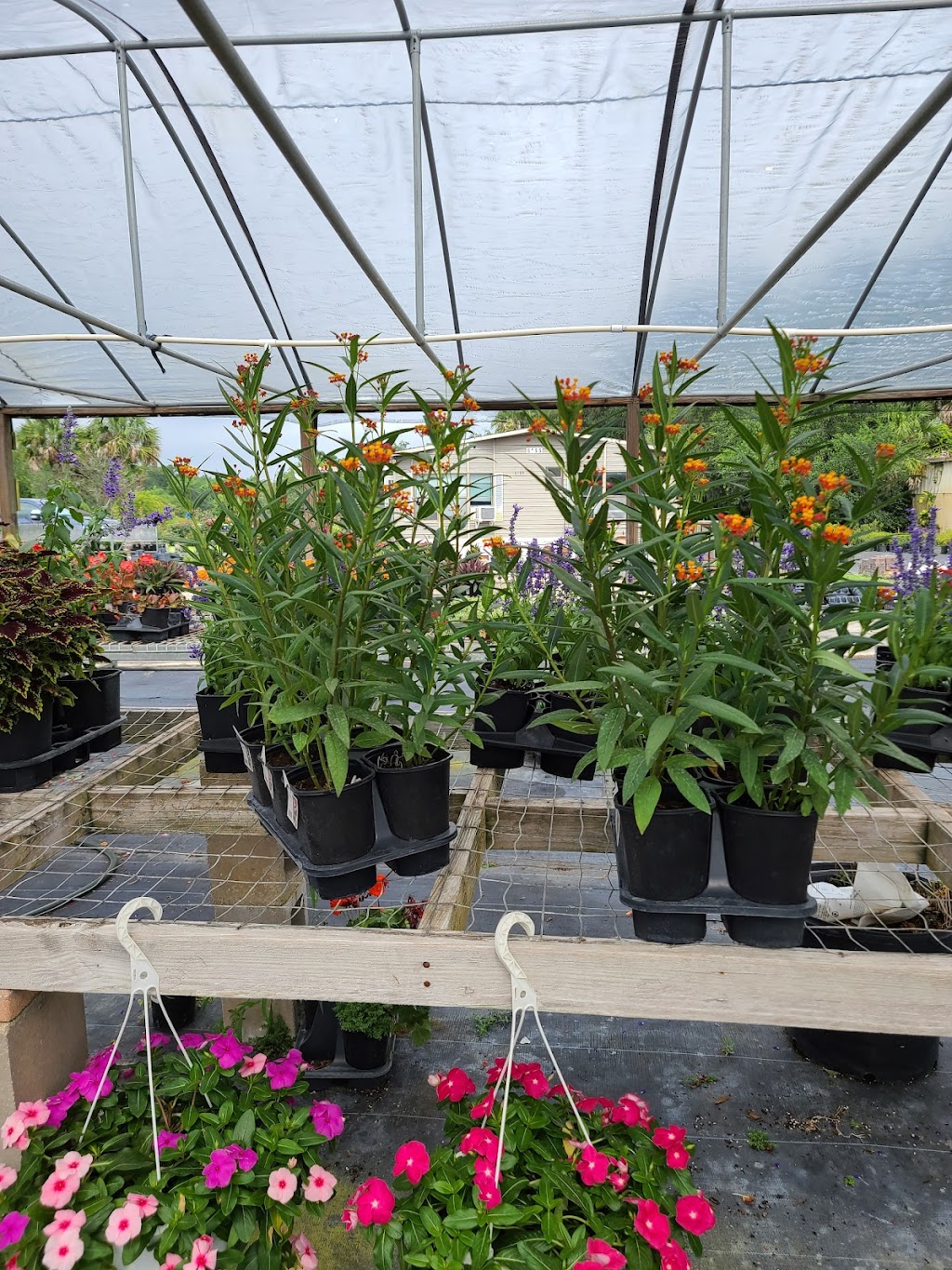 Nursery Landscape & Garden Center | 5955 Florida Ave S, Lakeland, FL 33813, USA | Phone: (863) 644-7331