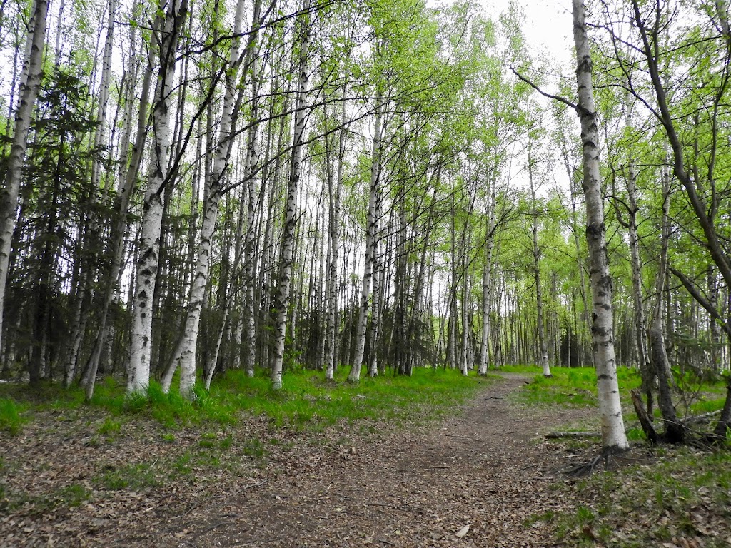 Connors Lake Park | 5404 Jewel Lake Rd, Anchorage, AK 99502, USA | Phone: (907) 343-4355