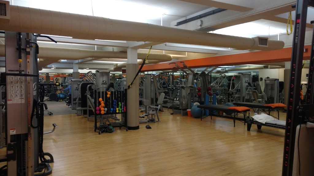 Excel Physical Therapy + Workout | 1482 Northern Blvd, Manhasset, NY 11030, USA | Phone: (516) 627-3009