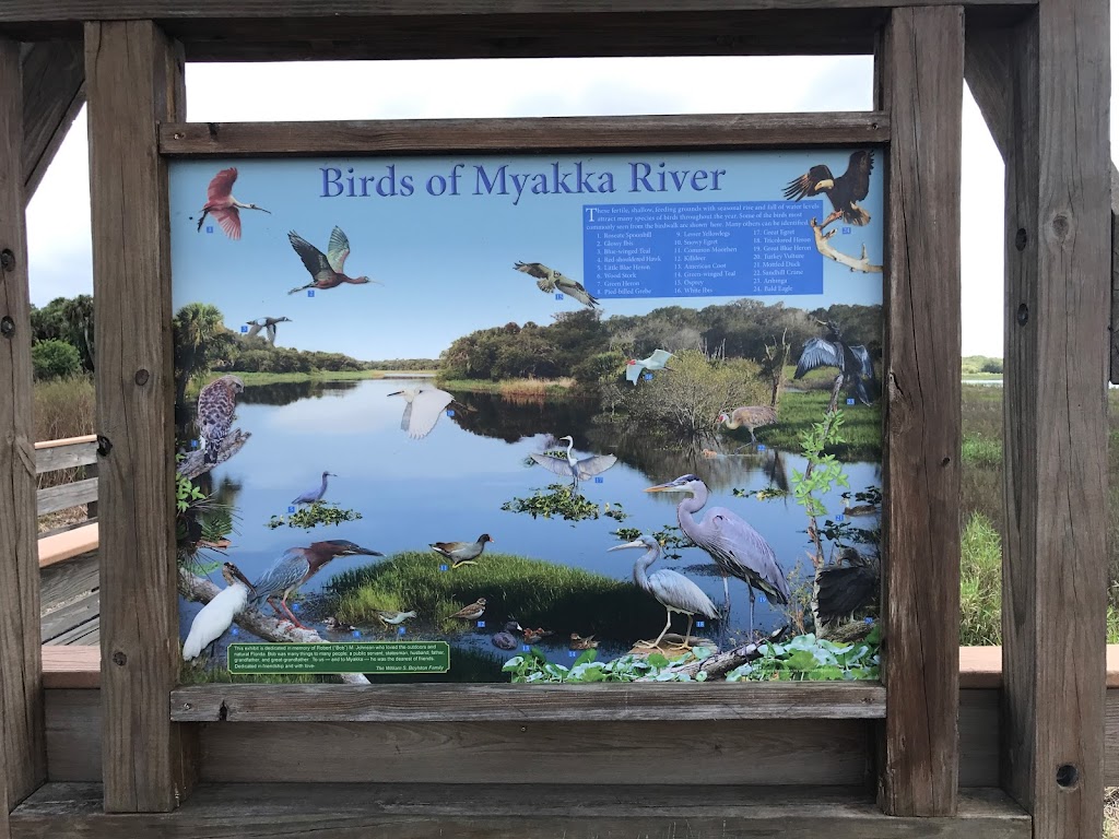 Myakka River State Park Birdwalk | Myakka State Park Rd, Sarasota, FL 34240, USA | Phone: (941) 361-6511