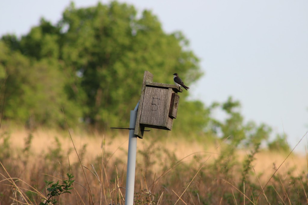 Forest Run Metropark | 1810 New London Rd, Hamilton, OH 45013, USA | Phone: (513) 867-5835