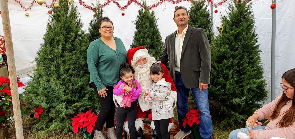 Christmas Tree Lot | 6645 S Central Ave, Phoenix, AZ 85042, USA | Phone: (602) 418-9227