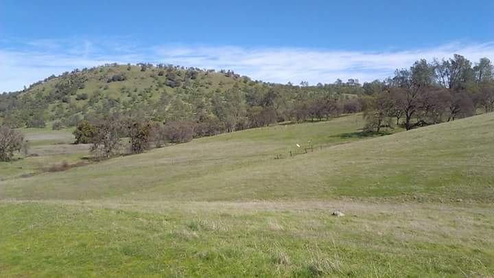 Spenceville Wildlife Area | 14936 Spenceville Rd, Penn Valley, CA 95946, USA | Phone: (530) 538-2236