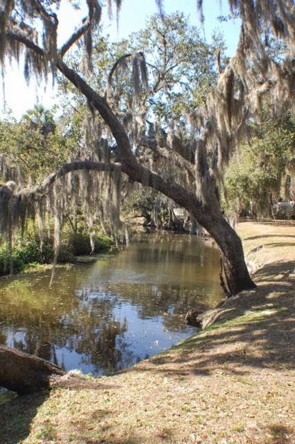 Frog Creek Campground | 8515 Bayshore Rd, Palmetto, FL 34221, USA | Phone: (941) 722-6154