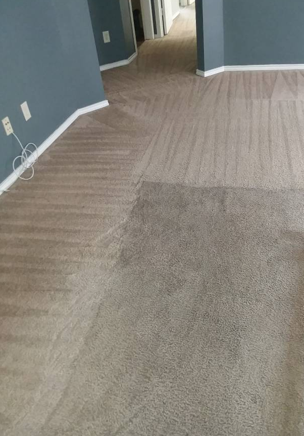 Pro Carpet Cleaning | 204 E Imperial Ave, El Segundo, CA 90245, USA | Phone: (310) 905-6798