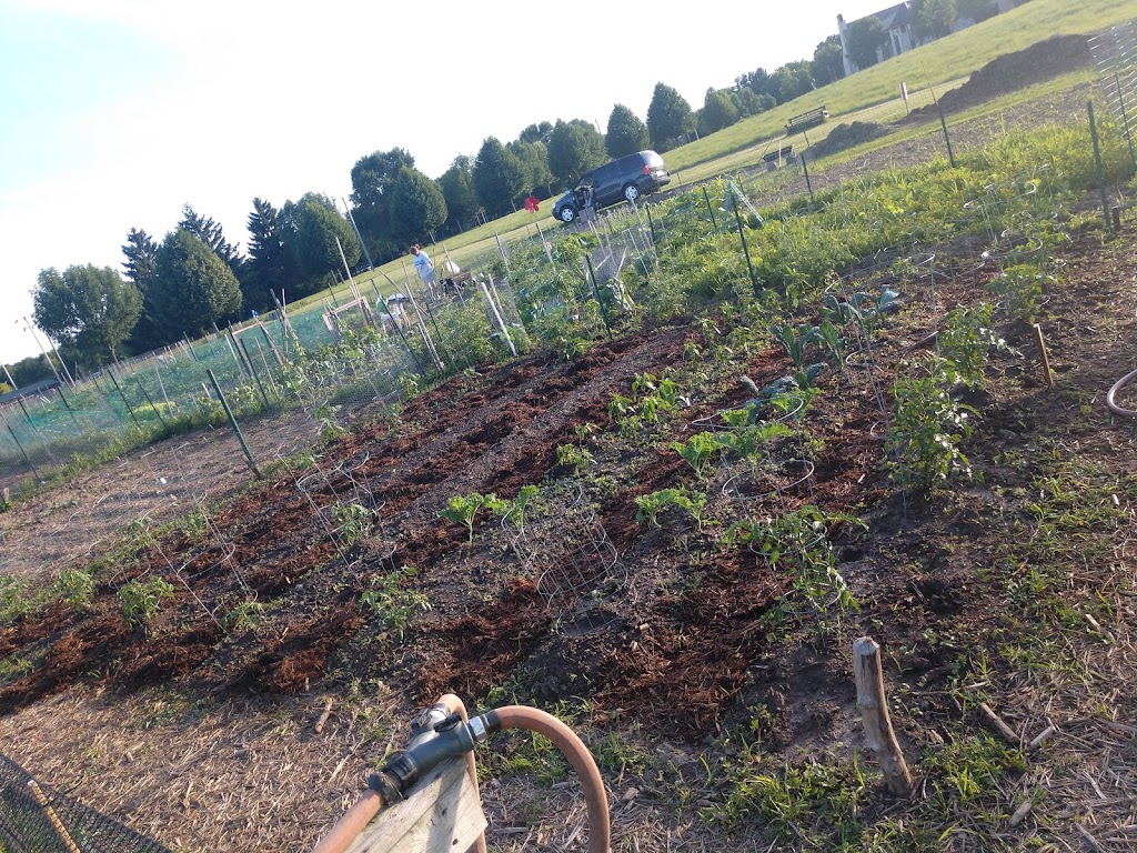 Sun Prairie Community Gardens | 1320-1350 Linnerud Dr, Sun Prairie, WI 53590, USA | Phone: (608) 837-5877